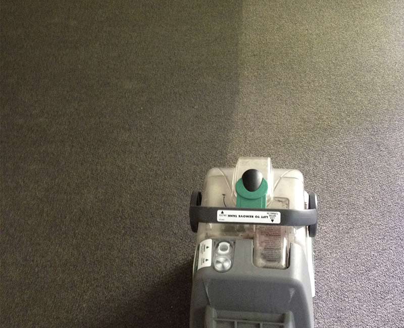 spotless carpet cleaning